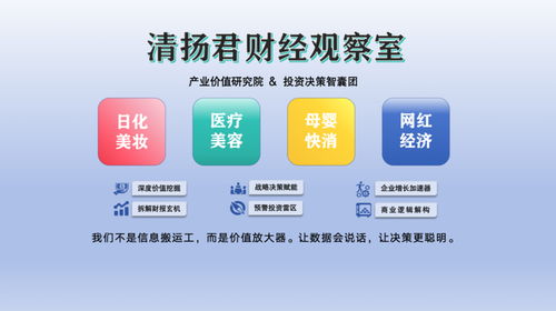 丸美生物赴港上市 化妝品巨頭的新征程與軟件開(kāi)發(fā)角色的再審視